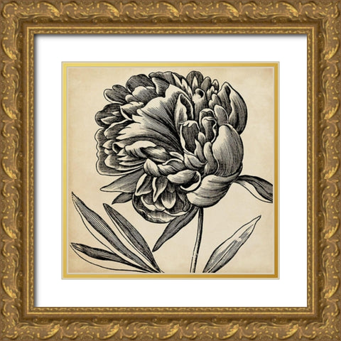 Graphic Floral II Gold Ornate Wood Framed Art Print with Double Matting by Vision Studio
