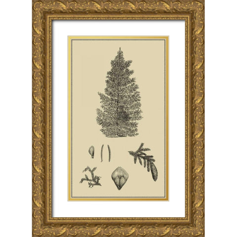 Arbor Study I Gold Ornate Wood Framed Art Print with Double Matting by Vision Studio