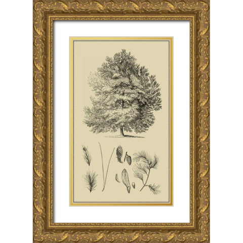 Arbor Study IV Gold Ornate Wood Framed Art Print with Double Matting by Vision Studio