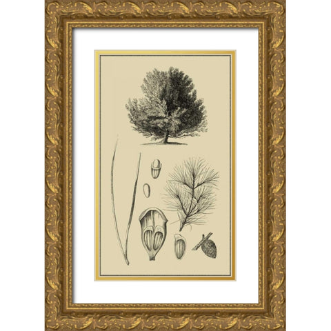 Arbor Study V Gold Ornate Wood Framed Art Print with Double Matting by Vision Studio