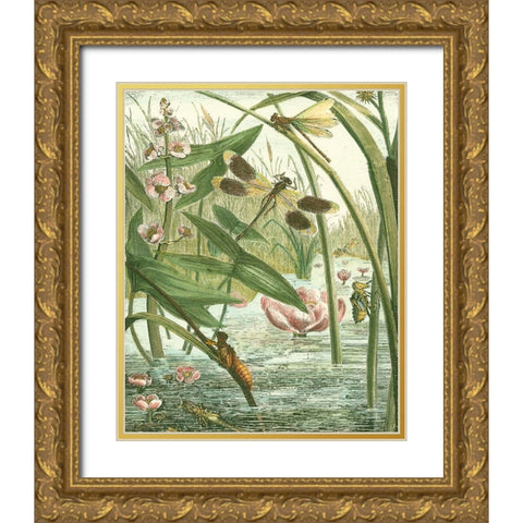 Dragonfly Gathering II Gold Ornate Wood Framed Art Print with Double Matting by Vision Studio