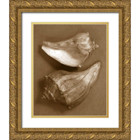 Sensual Shells I Gold Ornate Wood Framed Art Print with Double Matting by Stramel, Renee W.