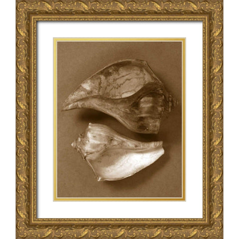 Sensual Shells II Gold Ornate Wood Framed Art Print with Double Matting by Stramel, Renee W.