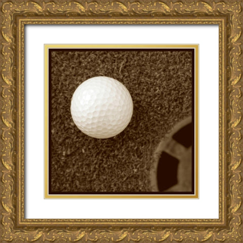 Sepia Golf Ball Study I Gold Ornate Wood Framed Art Print with Double Matting by Johnson, Jason