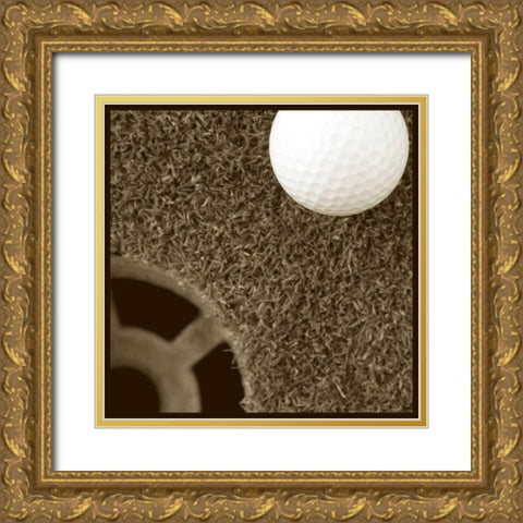 Sepia Golf Ball Study II Gold Ornate Wood Framed Art Print with Double Matting by Johnson, Jason