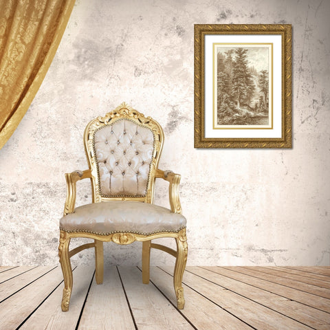Sepia Noble Fir Gold Ornate Wood Framed Art Print with Double Matting by Heyn, Ernst