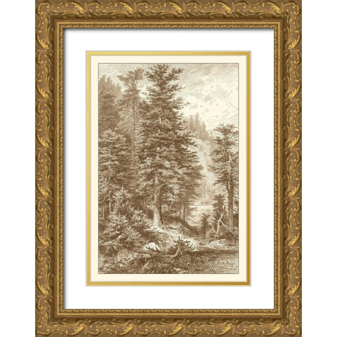Sepia Noble Fir Gold Ornate Wood Framed Art Print with Double Matting by Heyn, Ernst