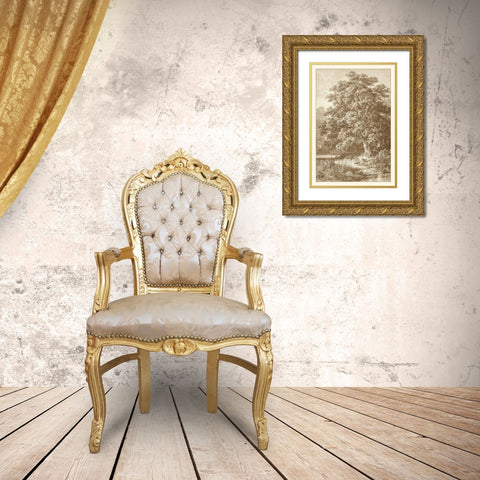 Sepia Oak Tree Gold Ornate Wood Framed Art Print with Double Matting by Heyn, Ernst