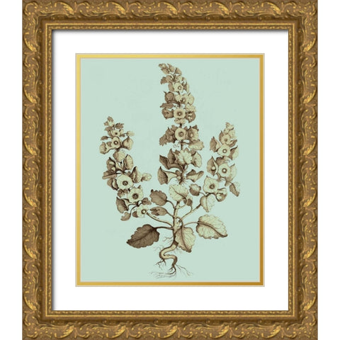 Imperial Munting II Gold Ornate Wood Framed Art Print with Double Matting by Munting, Abraham