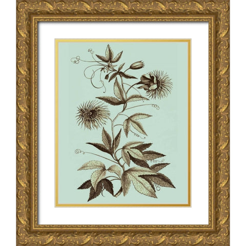 Imperial Munting III Gold Ornate Wood Framed Art Print with Double Matting by Munting, Abraham