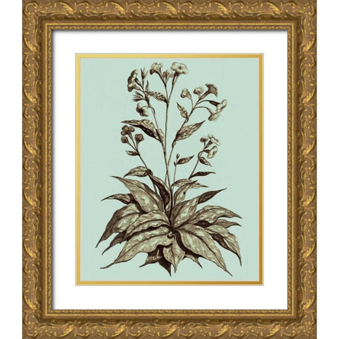 Imperial Munting IV Gold Ornate Wood Framed Art Print with Double Matting by Munting, Abraham