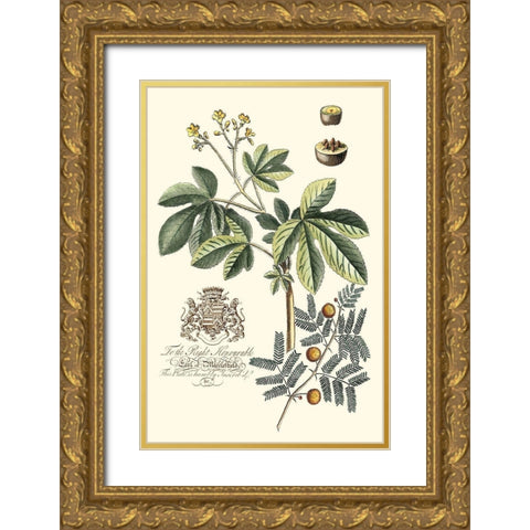Imperial Foliage I Gold Ornate Wood Framed Art Print with Double Matting by Vision Studio