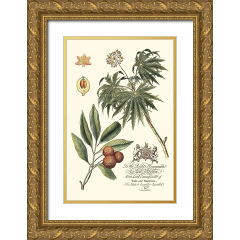 Imperial Foliage II Gold Ornate Wood Framed Art Print with Double Matting by Vision Studio