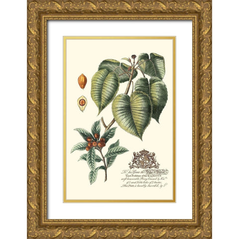 Imperial Foliage III Gold Ornate Wood Framed Art Print with Double Matting by Vision Studio