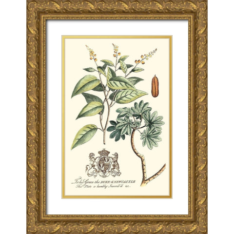 Imperial Foliage IV Gold Ornate Wood Framed Art Print with Double Matting by Vision Studio