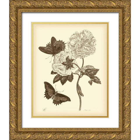 Nature Study in Sepia IV Gold Ornate Wood Framed Art Print with Double Matting by Merian, Maria S.