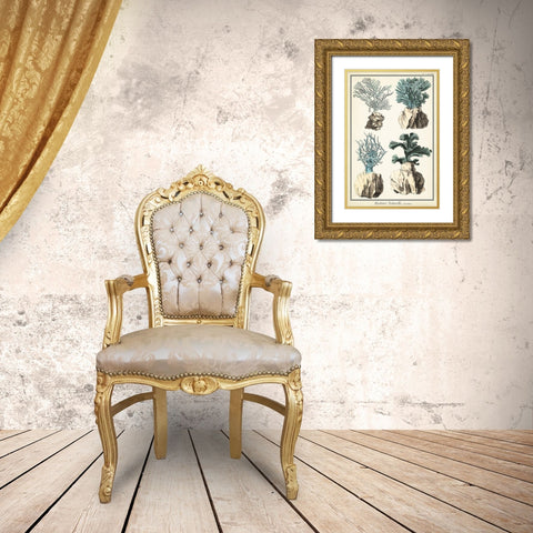 Oversize Coral Species III Gold Ornate Wood Framed Art Print with Double Matting by Vision Studio