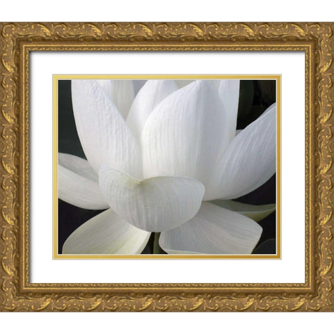 Delicate Lotus V Gold Ornate Wood Framed Art Print with Double Matting by Christensen, Jim