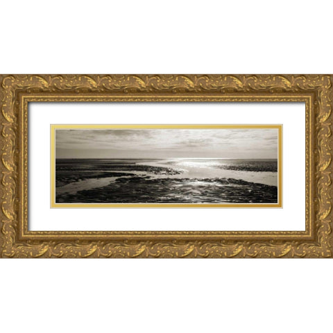 Tidal Streams Gold Ornate Wood Framed Art Print with Double Matting by Bay, Noah
