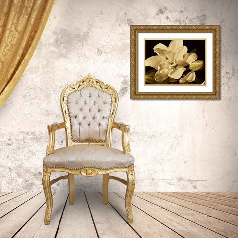 Yvoire Flower I Gold Ornate Wood Framed Art Print with Double Matting by Perry, Rachel