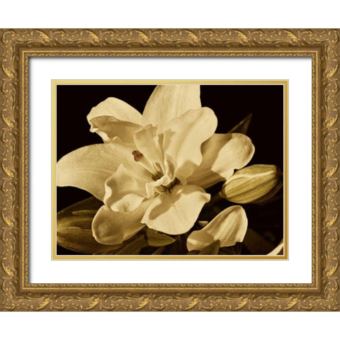 Yvoire Flower I Gold Ornate Wood Framed Art Print with Double Matting by Perry, Rachel