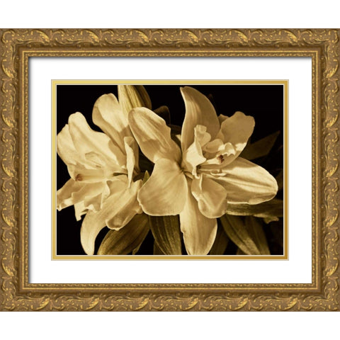 Yvoire Flower II Gold Ornate Wood Framed Art Print with Double Matting by Perry, Rachel
