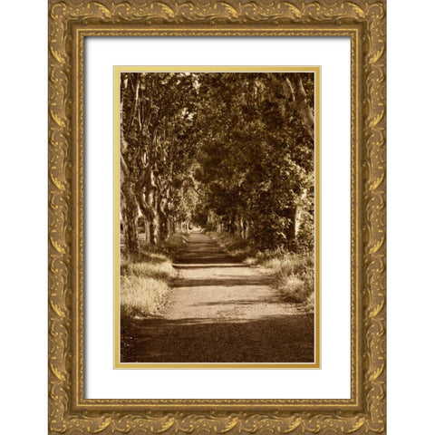 Road to St. Remy Gold Ornate Wood Framed Art Print with Double Matting by Perry, Rachel