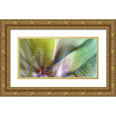 Symphonic II Gold Ornate Wood Framed Art Print with Double Matting by Burghardt, James