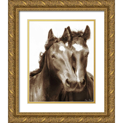 Horse Portrait III Gold Ornate Wood Framed Art Print with Double Matting by Drost, David