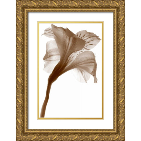 Inflorescence I Gold Ornate Wood Framed Art Print with Double Matting by Project, A.