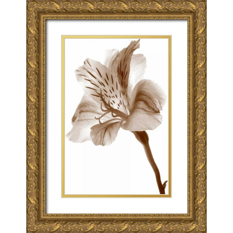 Inflorescence II Gold Ornate Wood Framed Art Print with Double Matting by Project, A.