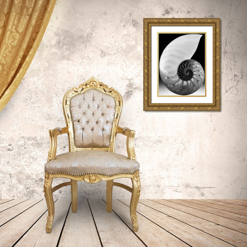 Shell I Gold Ornate Wood Framed Art Print with Double Matting by Christensen, Jim