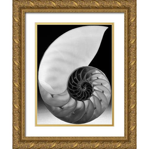 Shell I Gold Ornate Wood Framed Art Print with Double Matting by Christensen, Jim