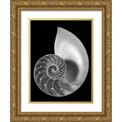 Shell II Gold Ornate Wood Framed Art Print with Double Matting by Christensen, Jim