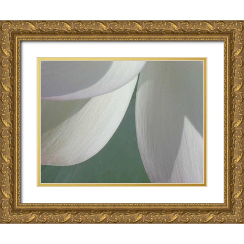 Lotus Detail I Gold Ornate Wood Framed Art Print with Double Matting by Christensen, Jim