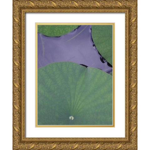 Lotus Detail X Gold Ornate Wood Framed Art Print with Double Matting by Christensen, Jim