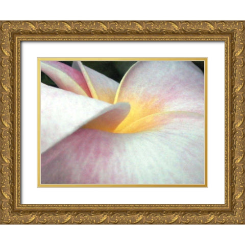 Flowers II Gold Ornate Wood Framed Art Print with Double Matting by Christensen, Jim