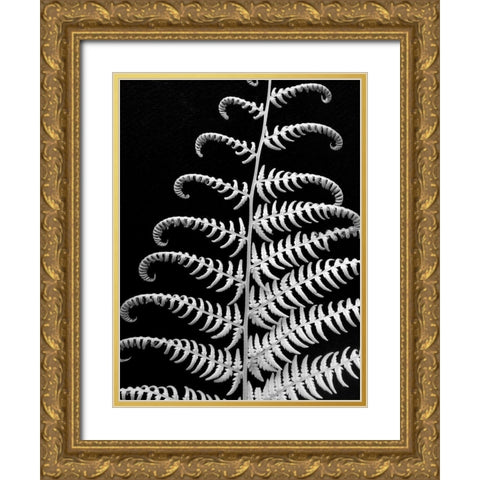 Fern II Gold Ornate Wood Framed Art Print with Double Matting by Christensen, Jim