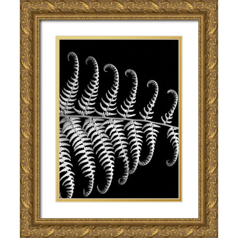 Fern III Gold Ornate Wood Framed Art Print with Double Matting by Christensen, Jim