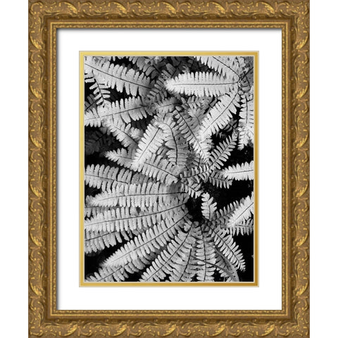Fern IV Gold Ornate Wood Framed Art Print with Double Matting by Christensen, Jim