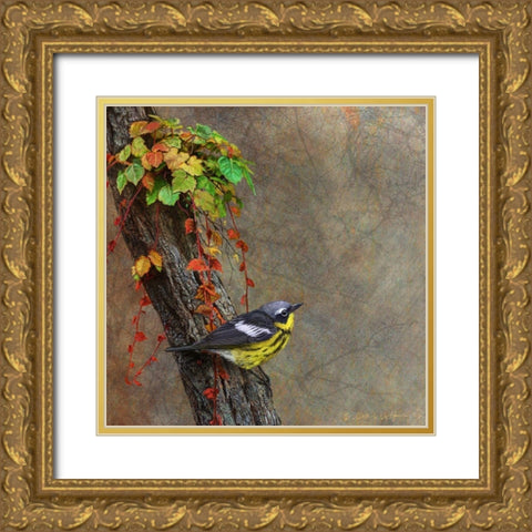 Magnolia Warbler Gold Ornate Wood Framed Art Print with Double Matting by Vest, Chris