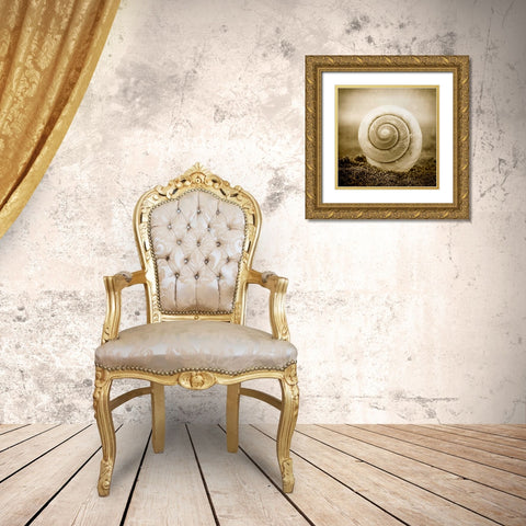 Cochlear III Gold Ornate Wood Framed Art Print with Double Matting by Hartson-Weddle, Ryan