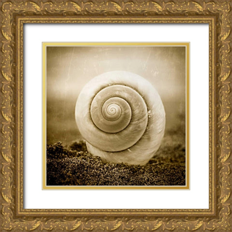 Cochlear III Gold Ornate Wood Framed Art Print with Double Matting by Hartson-Weddle, Ryan