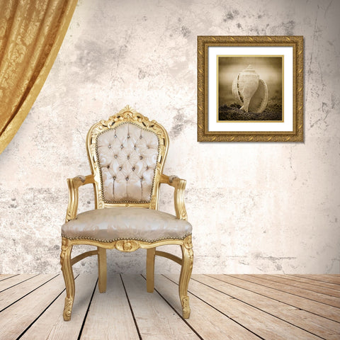 A Suitable Dwelling Gold Ornate Wood Framed Art Print with Double Matting by Hartson-Weddle, Ryan