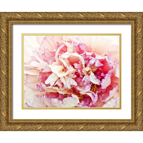 Monets Peony I Gold Ornate Wood Framed Art Print with Double Matting by Perry, Rachel
