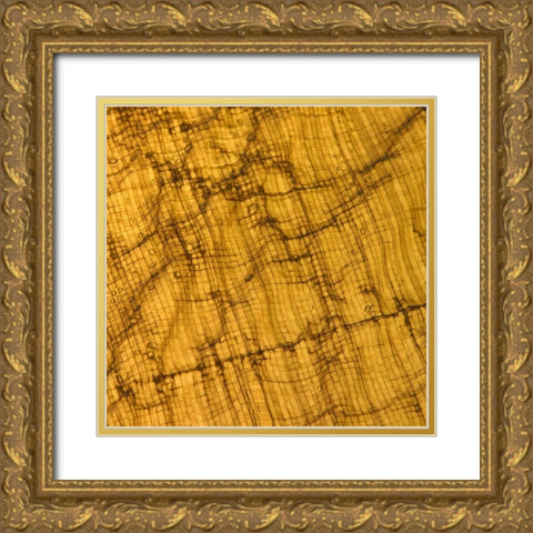 Natures Textures I Gold Ornate Wood Framed Art Print with Double Matting by Vision Studio