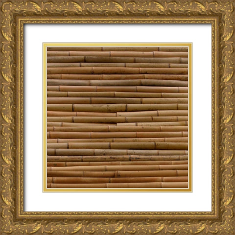 Natures Textures IV Gold Ornate Wood Framed Art Print with Double Matting by Vision Studio