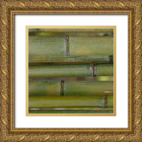 Natures Textures V Gold Ornate Wood Framed Art Print with Double Matting by Vision Studio