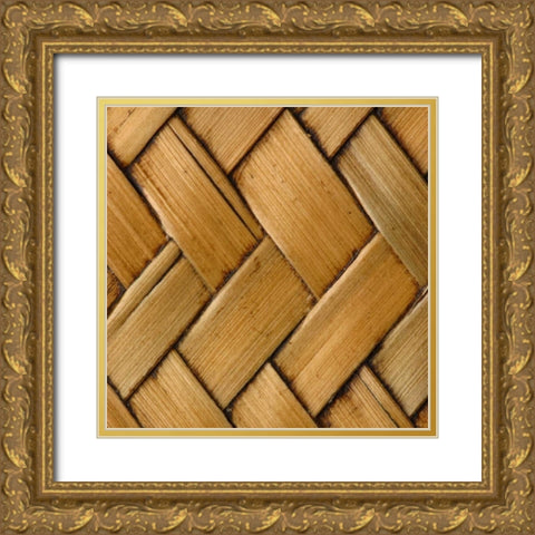 Natures Textures VI Gold Ornate Wood Framed Art Print with Double Matting by Vision Studio