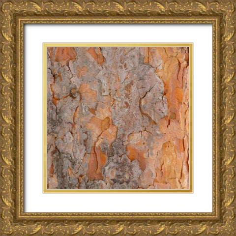 Natures Textures VII Gold Ornate Wood Framed Art Print with Double Matting by Vision Studio